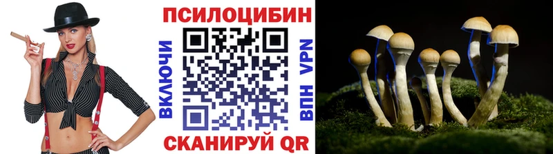 МЕГА онион нарко площадка официальный сайт Псилоцибиновые грибы мицелий Тейково